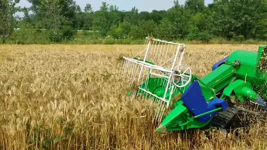 Acme usine récolteuse de blé riz paddy moissonneuse-batteuse machine de récolte