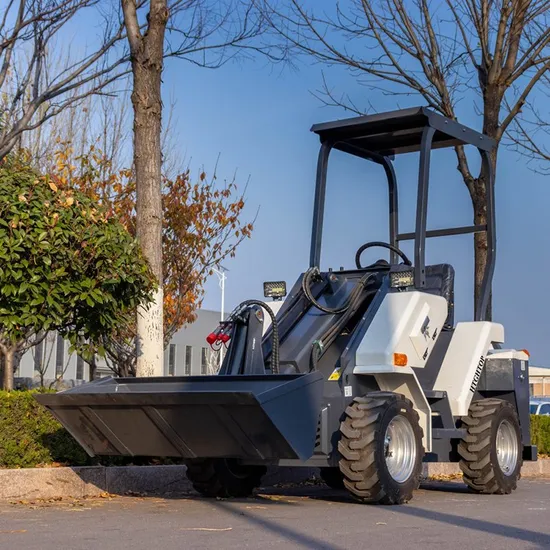 Chargeuse sur pneus à châssis monobloc de 2 tonnes pour une bonne qualité