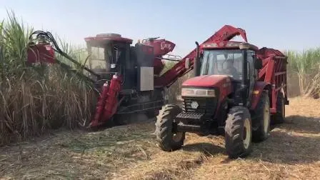 Récolteuse de canne à sucre de coupe à entraînement hydrostatique de vente chaude